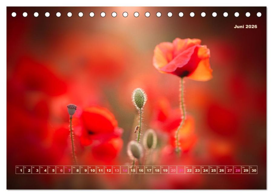 additionalImage11