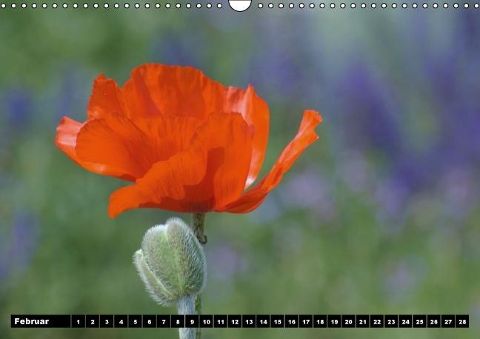 additionalImage2