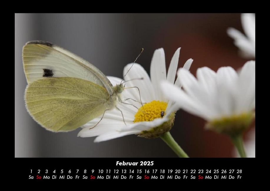 additionalImage6