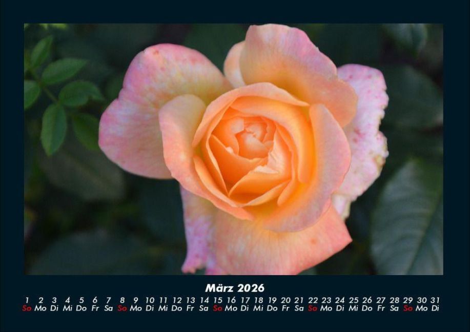 additionalImage7