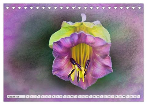 additionalImage13
