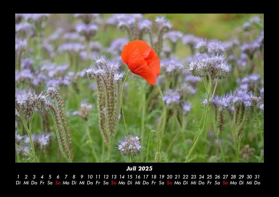 additionalImage11