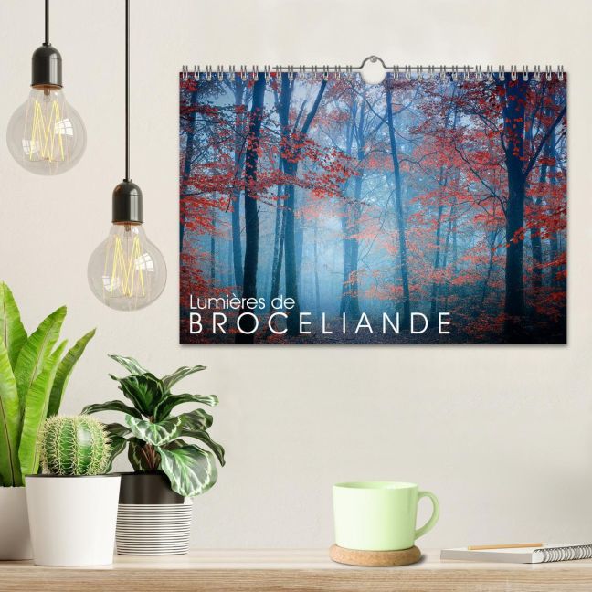 additionalImage1