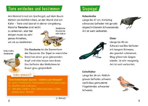 additionalImage3