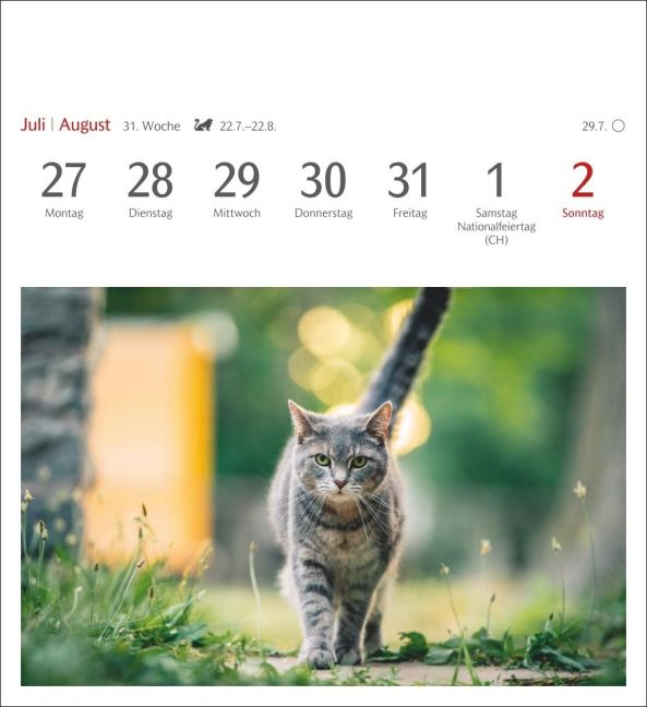 additionalImage12