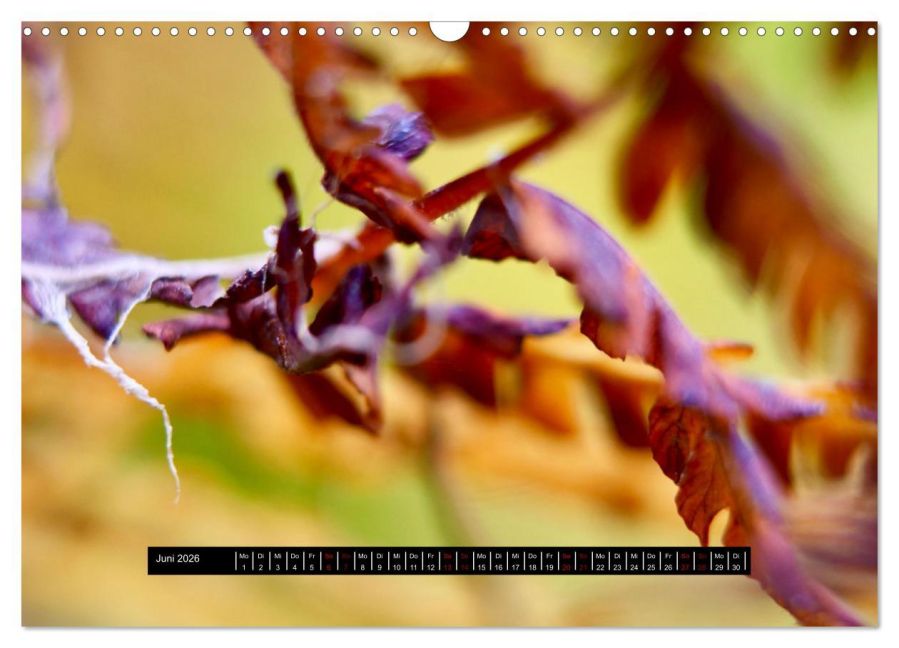 additionalImage11