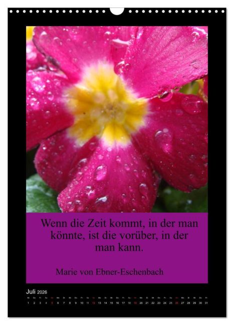 additionalImage12