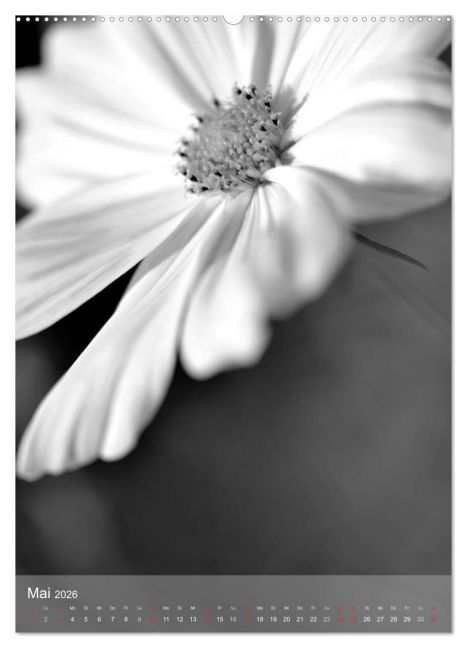additionalImage9