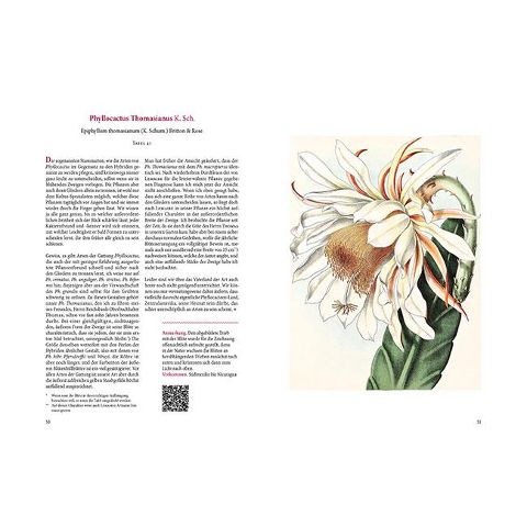 additionalImage8