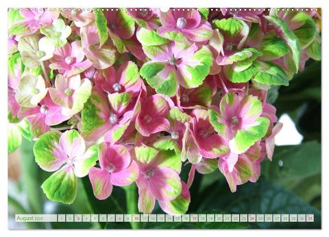 additionalImage10