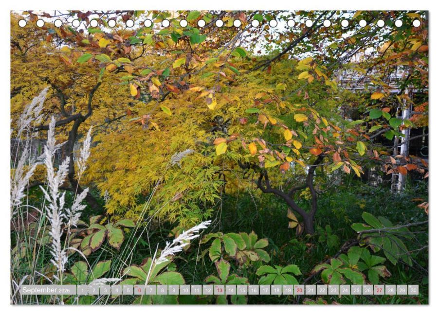 additionalImage14