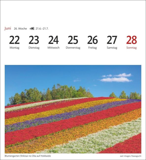 additionalImage7