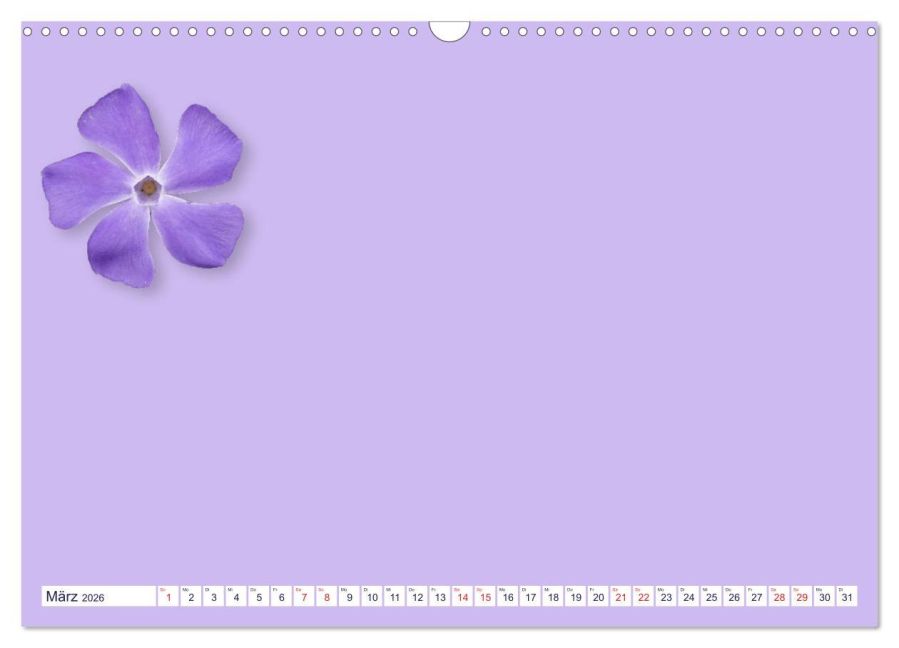 additionalImage8