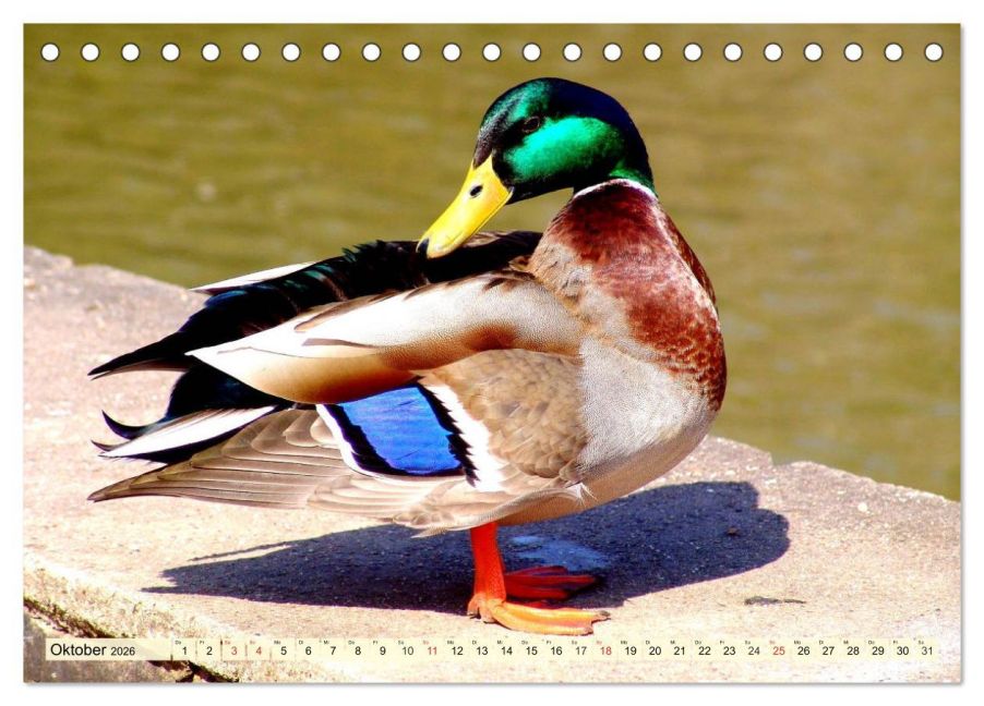 additionalImage2