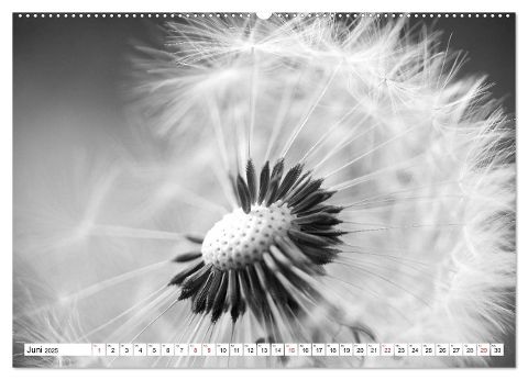 additionalImage11