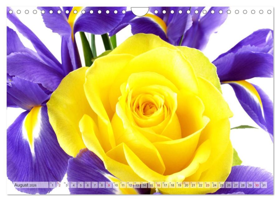 additionalImage13