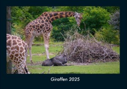 Cover-Bild zum Titel 'Giraffen 2025 Fotokalender DIN A4' von 'Tobias Becker'