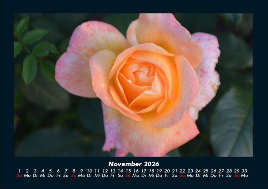 additionalImage3