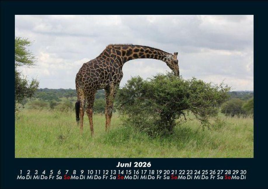 additionalImage10