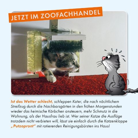 additionalImage2