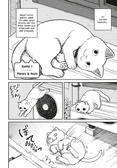 additionalImage1