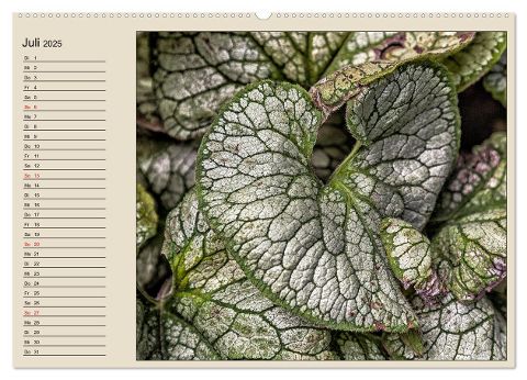 additionalImage12