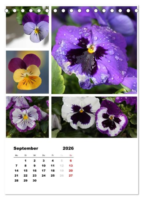 additionalImage14