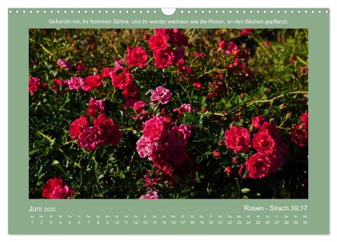 additionalImage11