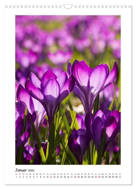 additionalImage6