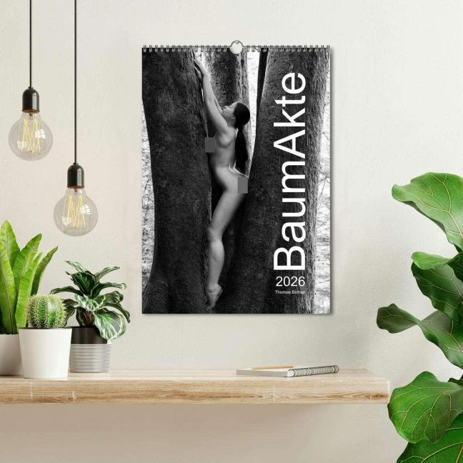 additionalImage1