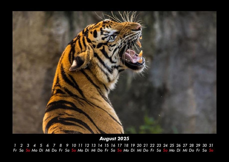 additionalImage12