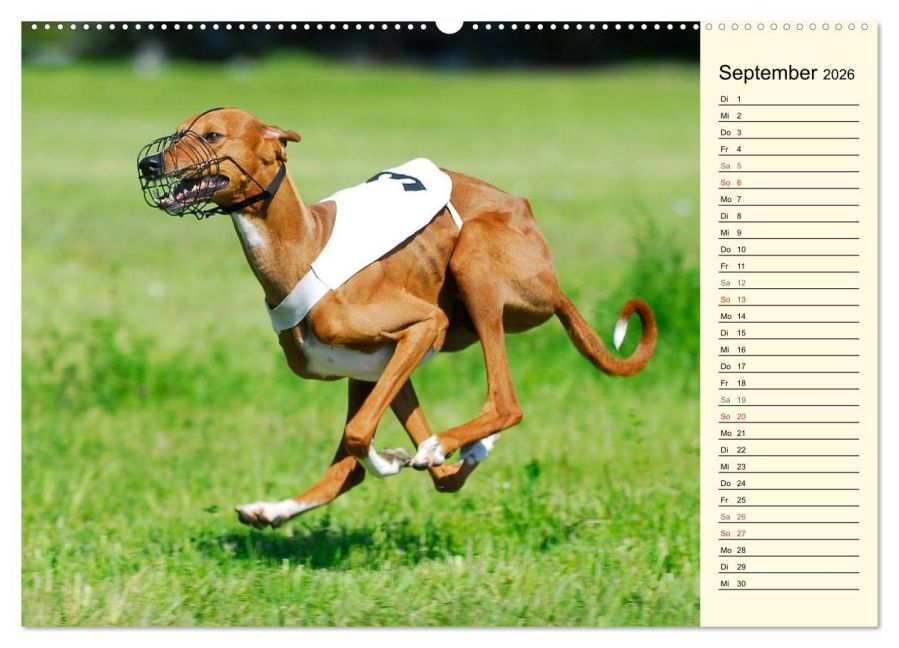 additionalImage14