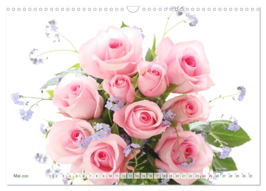 additionalImage10