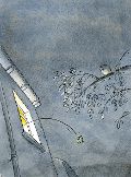 Bildprobe 5