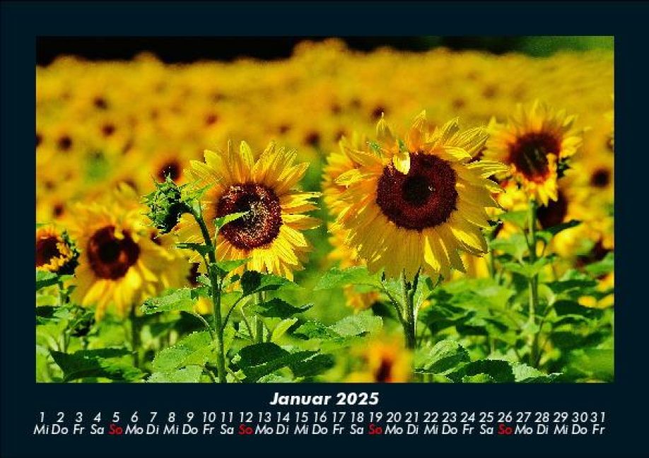 additionalImage5