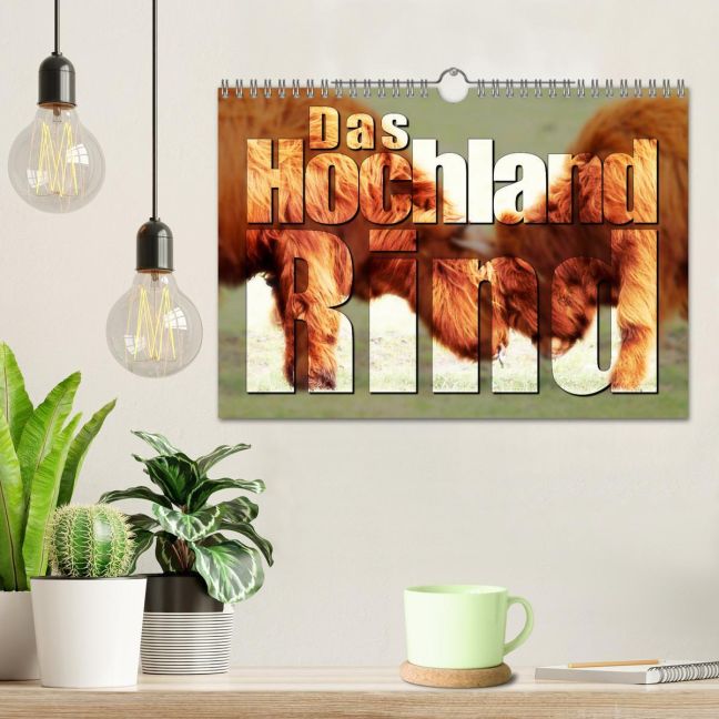 additionalImage1
