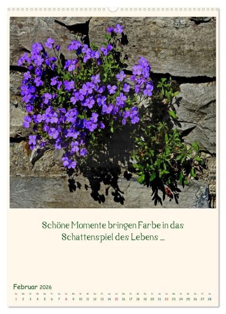 additionalImage6