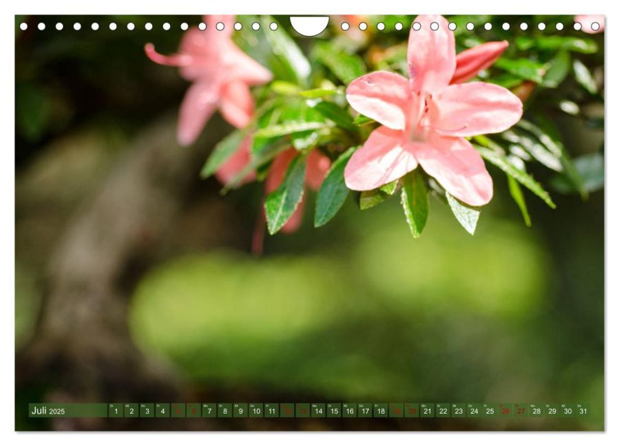 additionalImage12
