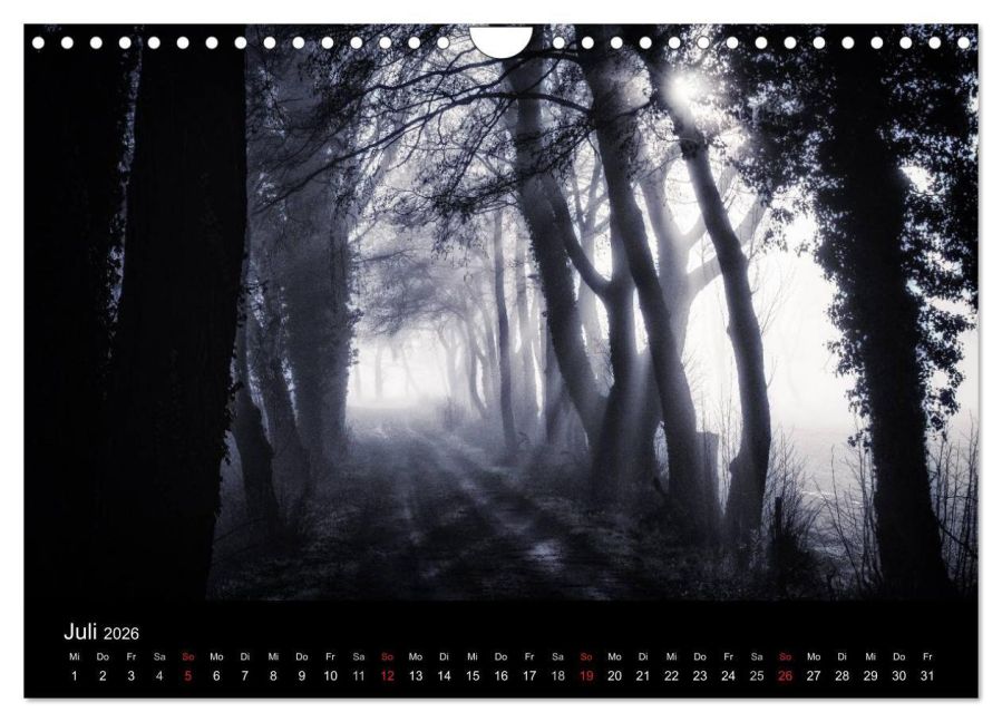 additionalImage12
