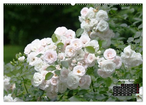 additionalImage5