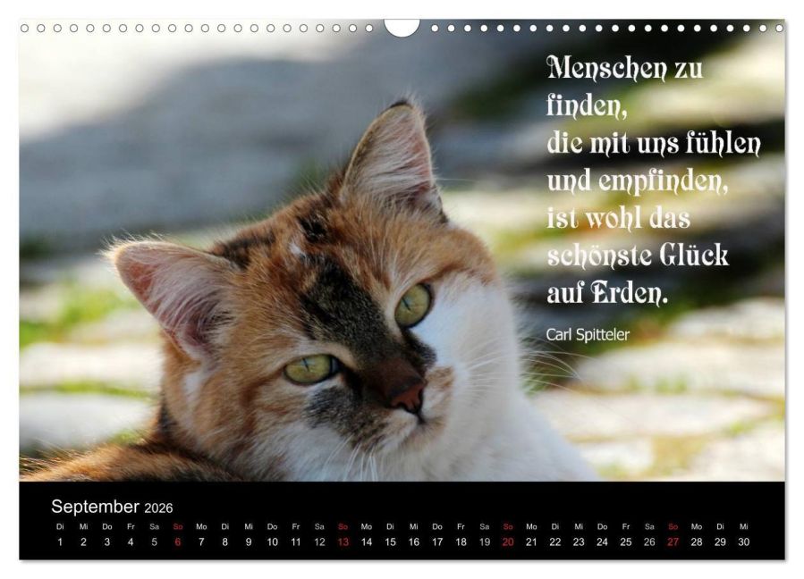 additionalImage14