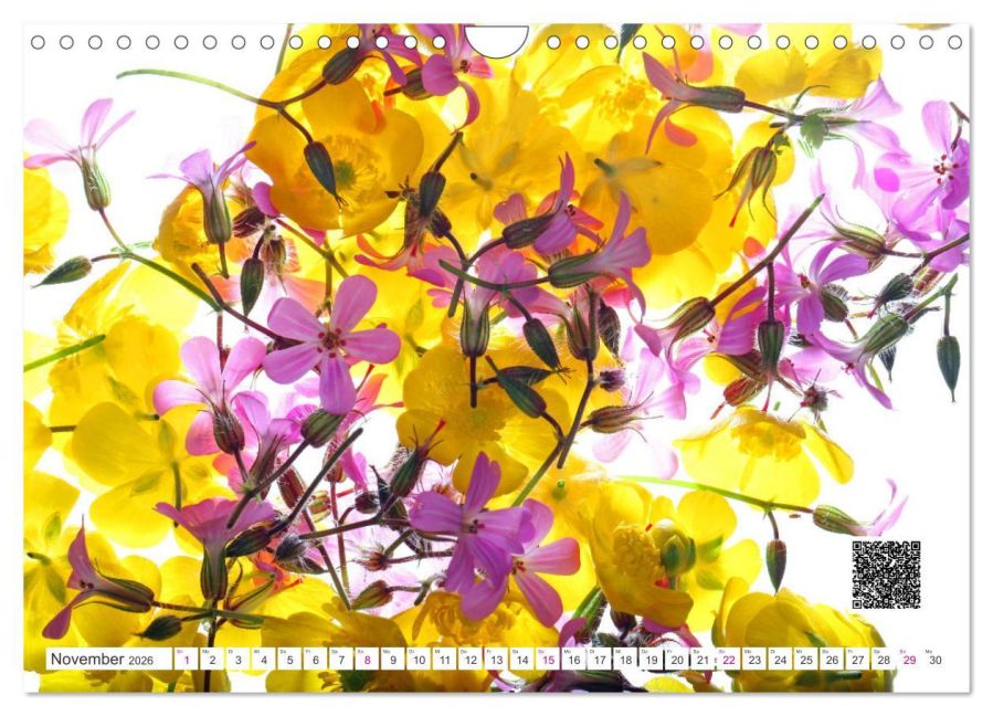 additionalImage3