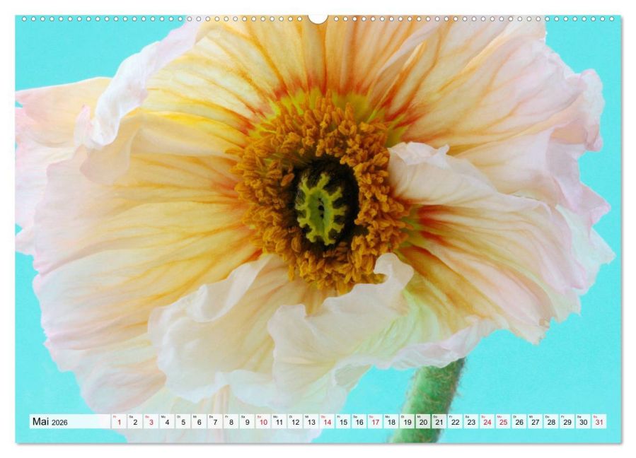 additionalImage10