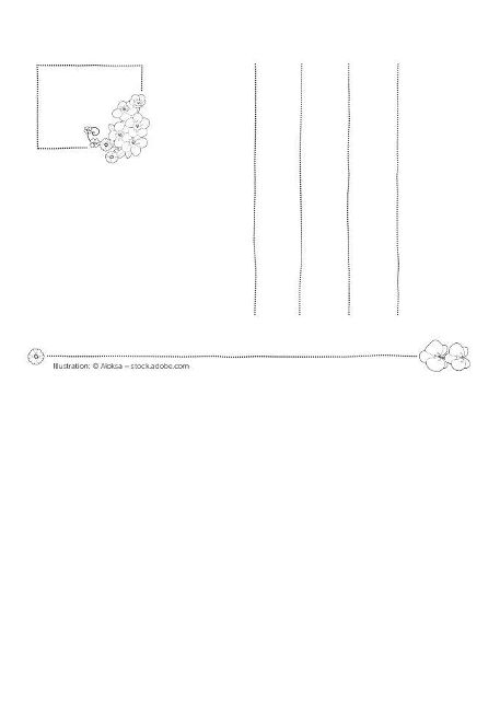 additionalImage2
