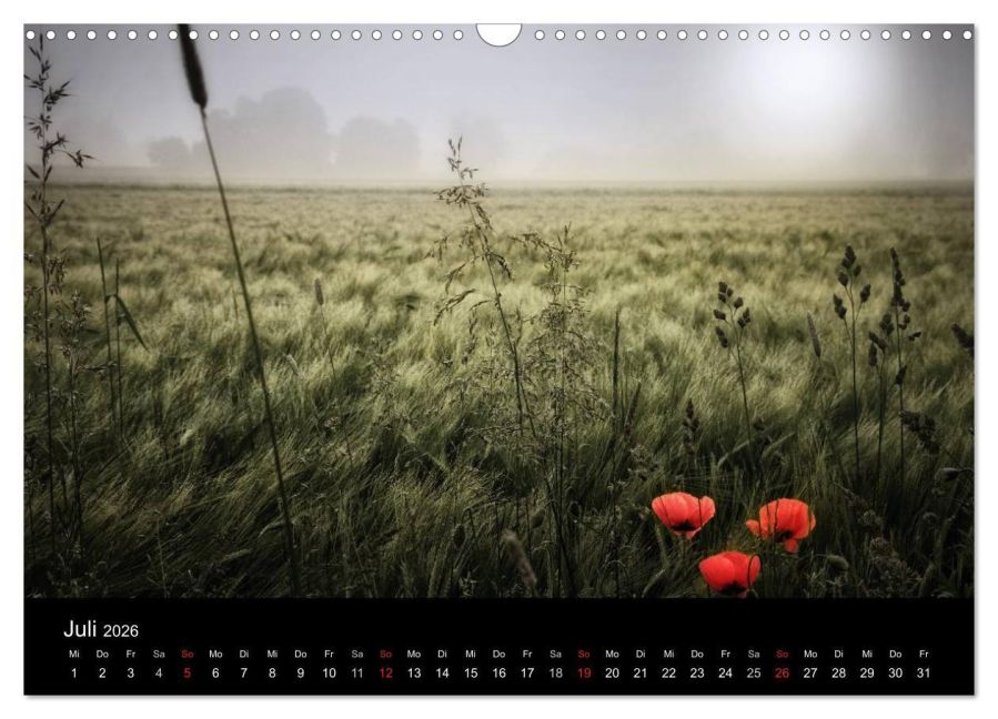 additionalImage12