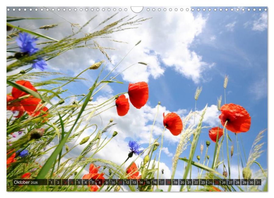 additionalImage2