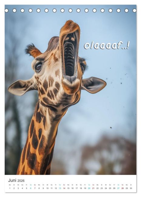 additionalImage11