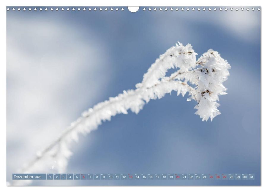 additionalImage4