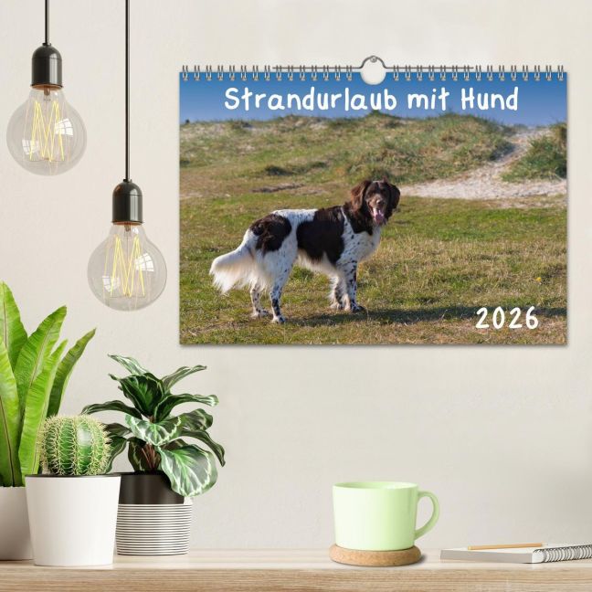 additionalImage1