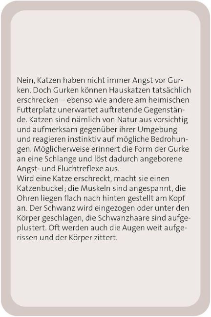 additionalImage6